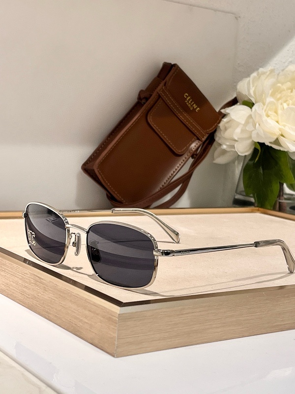 CELINE Sunglasses 119